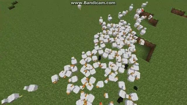 Minecraft-Курицы...Много куриц....
