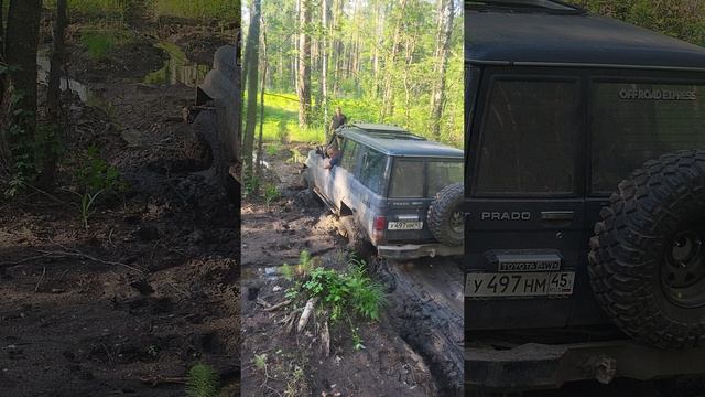 Прадо проверяет тайрлоки