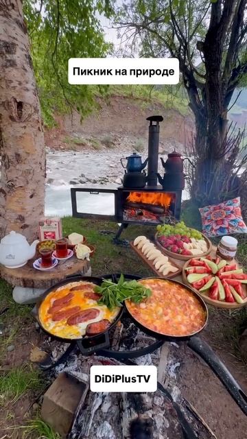 Пикник на природе. #природа #shorts #travel #food #путешествия #music #еда #дидиплюств #didiplustv