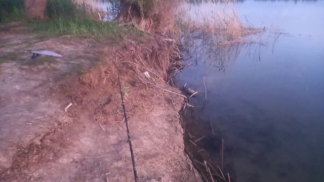 VID-20250511-WA0062