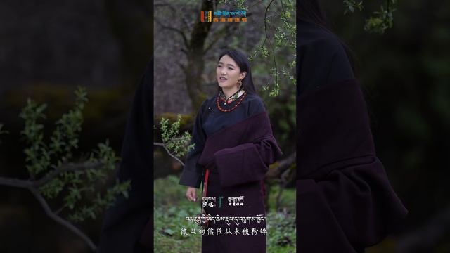 བོད་གཞས་གསར་པ་༢༠༢༥༼སྨོན་ལམ་མཉམ་དུ་འདེབས།༽གཞས་མ། ཁྱུང་ཕྱུག་ལྷ་མོ། ࿉ Tibetan song 2025 Full HD - ཁ་བ་ར