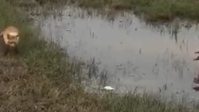 Стоять насмерть за семью
