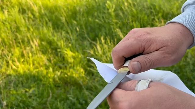 03-06-2025 Финка