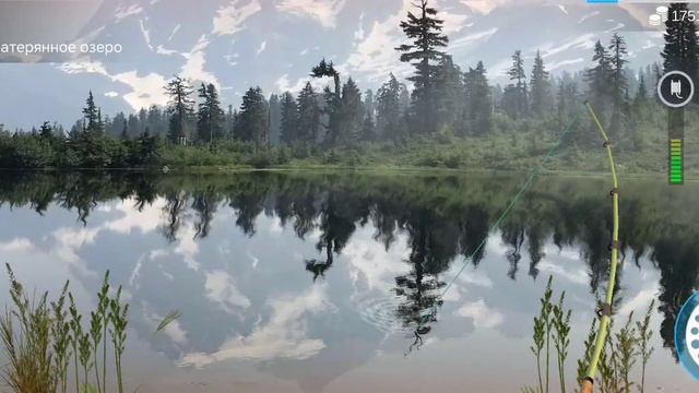 Как поймать линь в игре My Fishing World