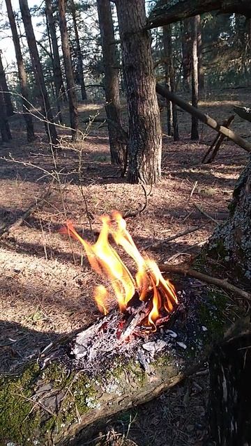 Бесконечно можно смотреть на огонь 🔥 и воду