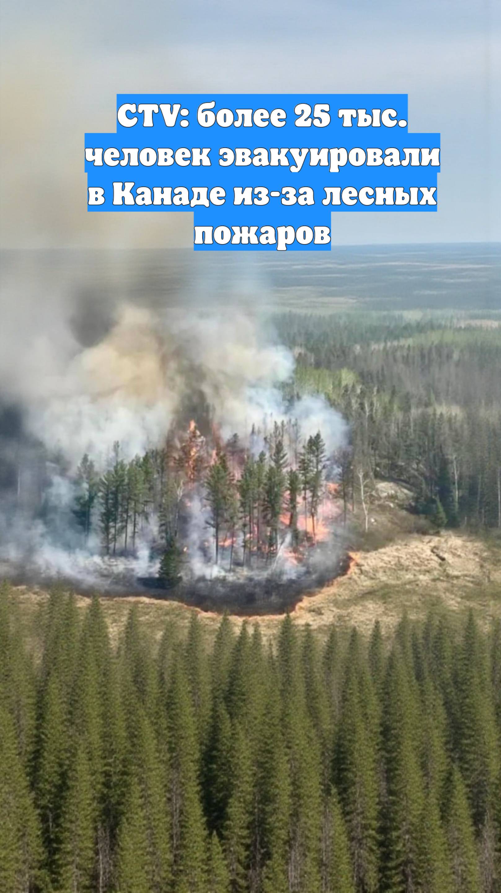 CTV: более 25 тыс. человек эвакуировали в Канаде из-за лесных пожаров