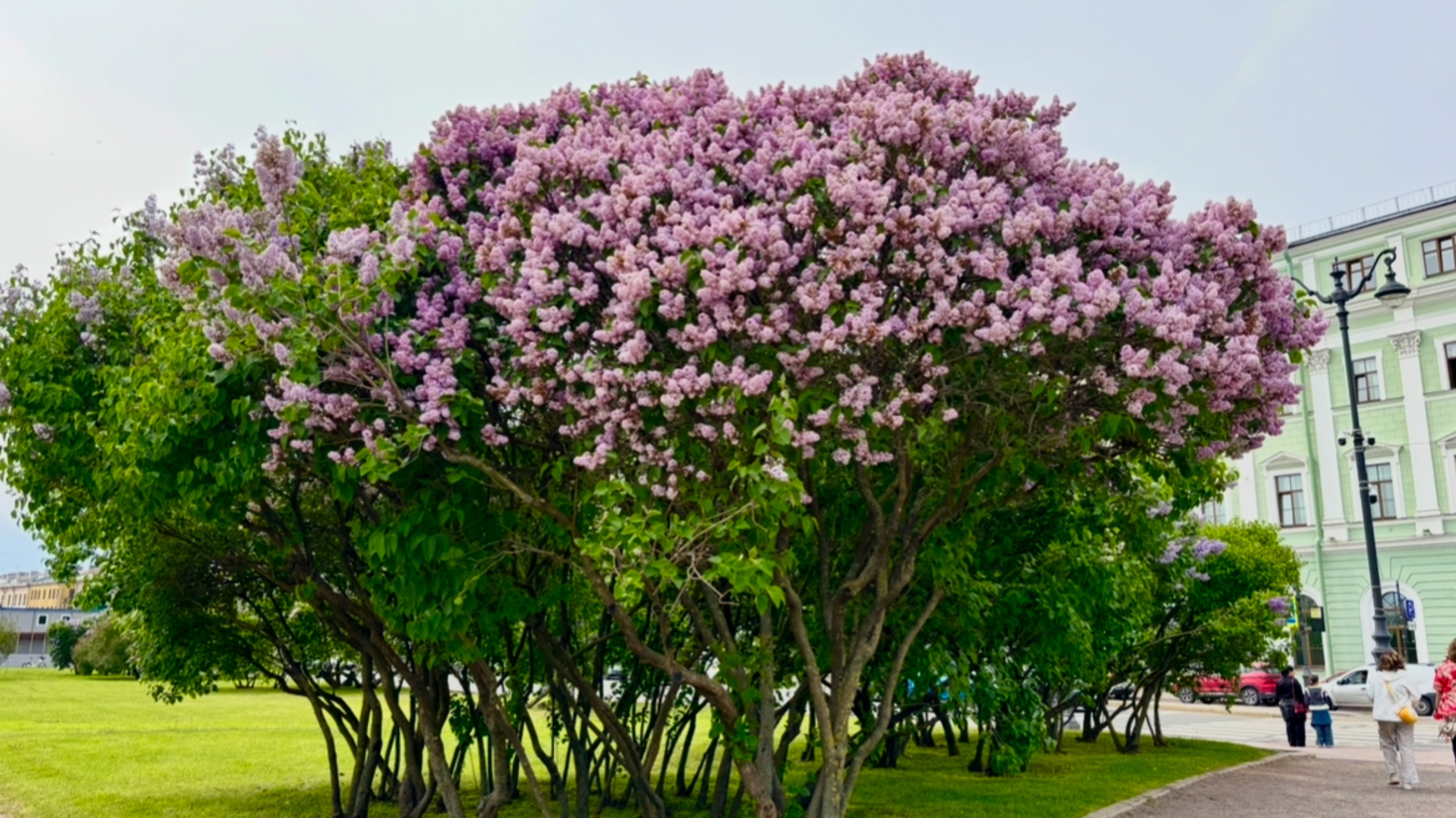 Пешком от Петропавловской крепости до метро Невский проспект через Марсово поле