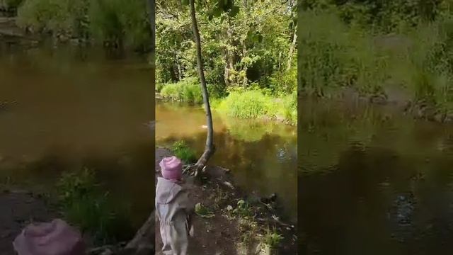 1000021480.mp4