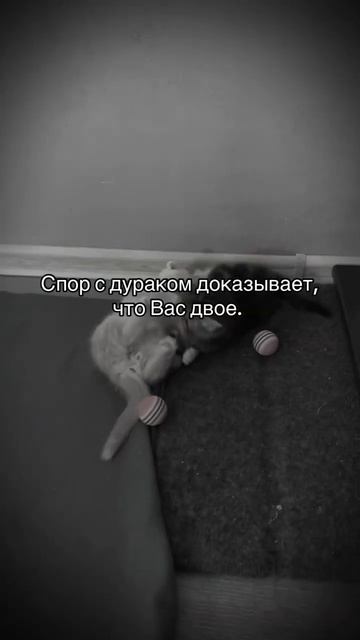 Будь умнее