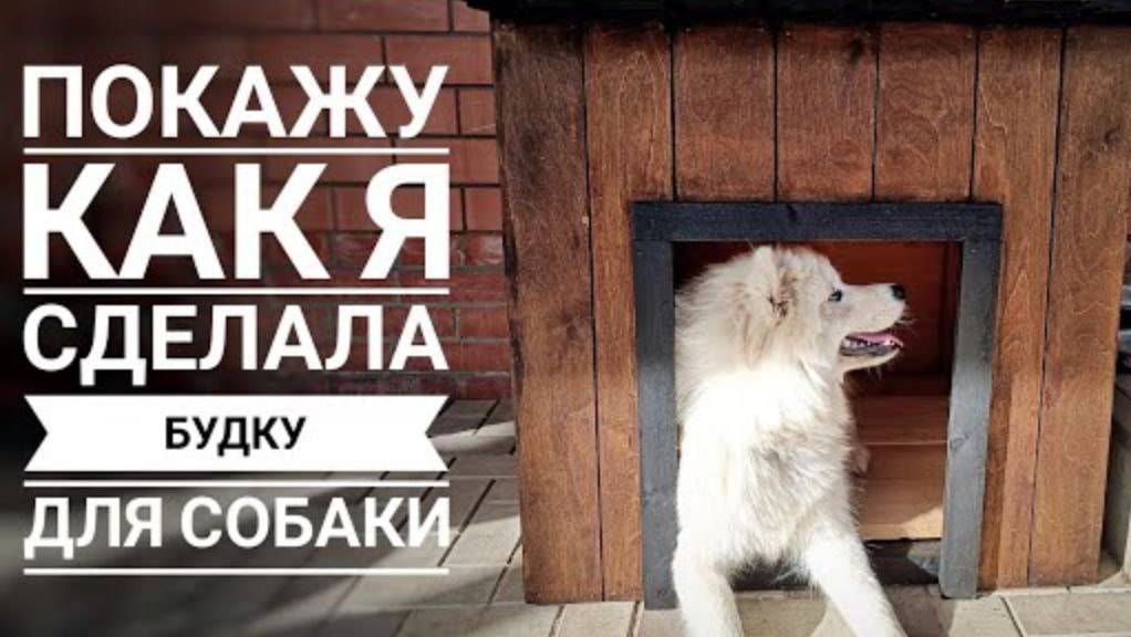 Построила сама будку для собаки из строительных остатков