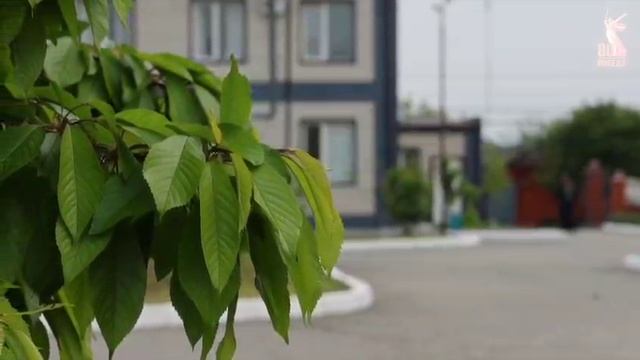 "Фундамент Великой Победы. Росгвардия-Гид". В небе ночные ведьмы