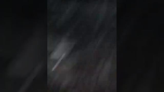 хитман в реальной жизни