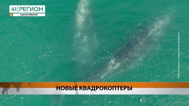 НОВЫЕ БЕСПИЛОТНИКИ ДЛЯ ИССЛЕДОВАНИЙ ЖИВОТНЫХ ПРИОБРЕЛИ В КРОНОЦКОМ ЗАПОВЕДНИКЕ • НОВОСТИ КАМЧАТКИ