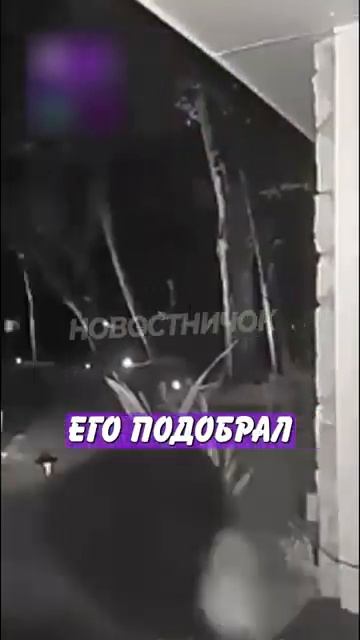 Новостничок (299)
