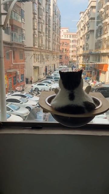 ХихиЧпок Юмор