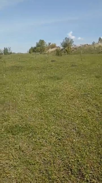 Ферма в цвету