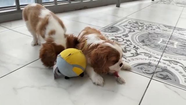 1000006640.mp4