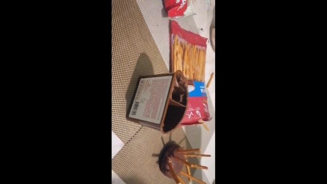 Сладкие пауки от Харитона❤️❤️❤️