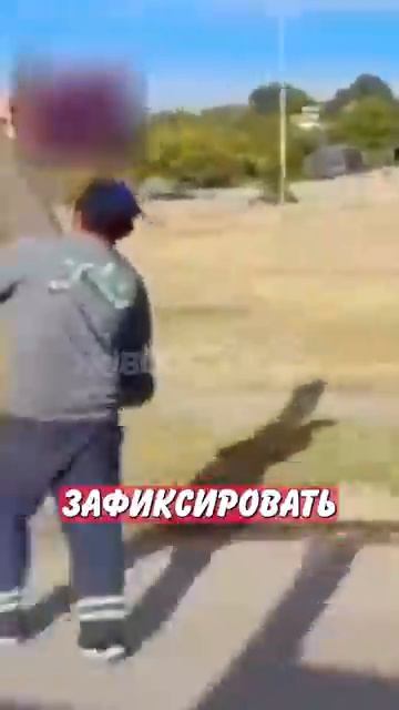 Новостничок (322)