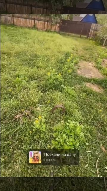 1000068389.mp4