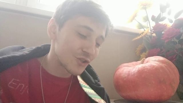 Пропущенные вызовы
