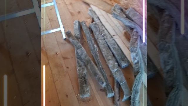1000025348.mp4 (Собака смотрит на электроснабжение нового дома А-фрейм)