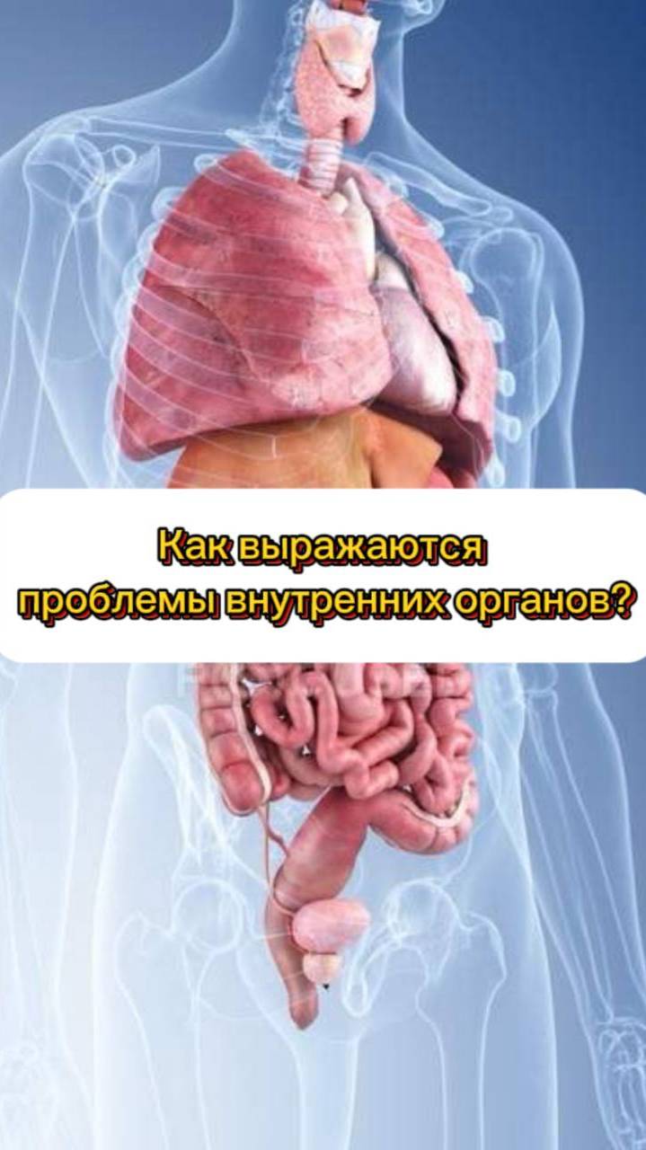 Как выражаются проблемы внутренних органов?