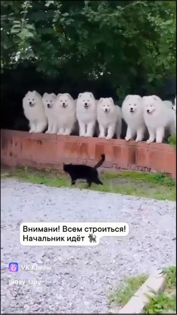 kotrtg