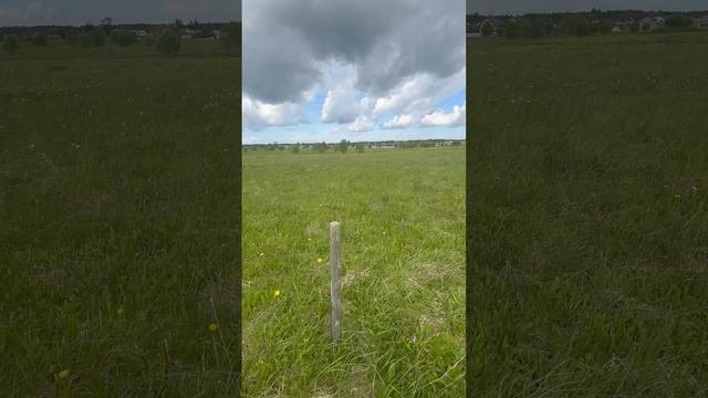 Продажа участка в деревне Новая Буря