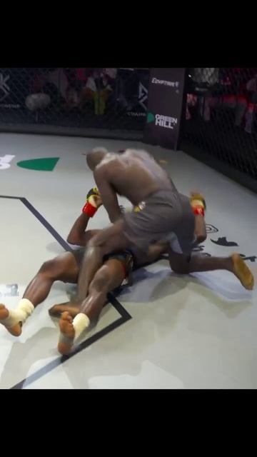 Лучшие нокауты Подпишись и ставь лайк #ufc #mma #youtube #sports #tiktok #shortsvideo #russia #box