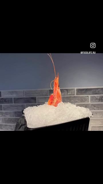 Креветка северная