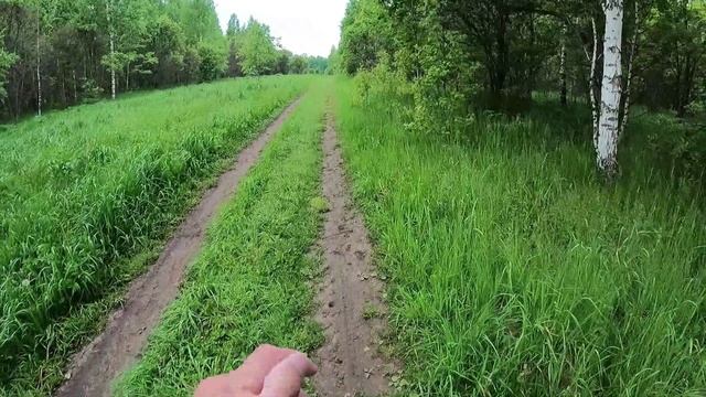 День 496. Лето пришло. Дистанция 18 километров.