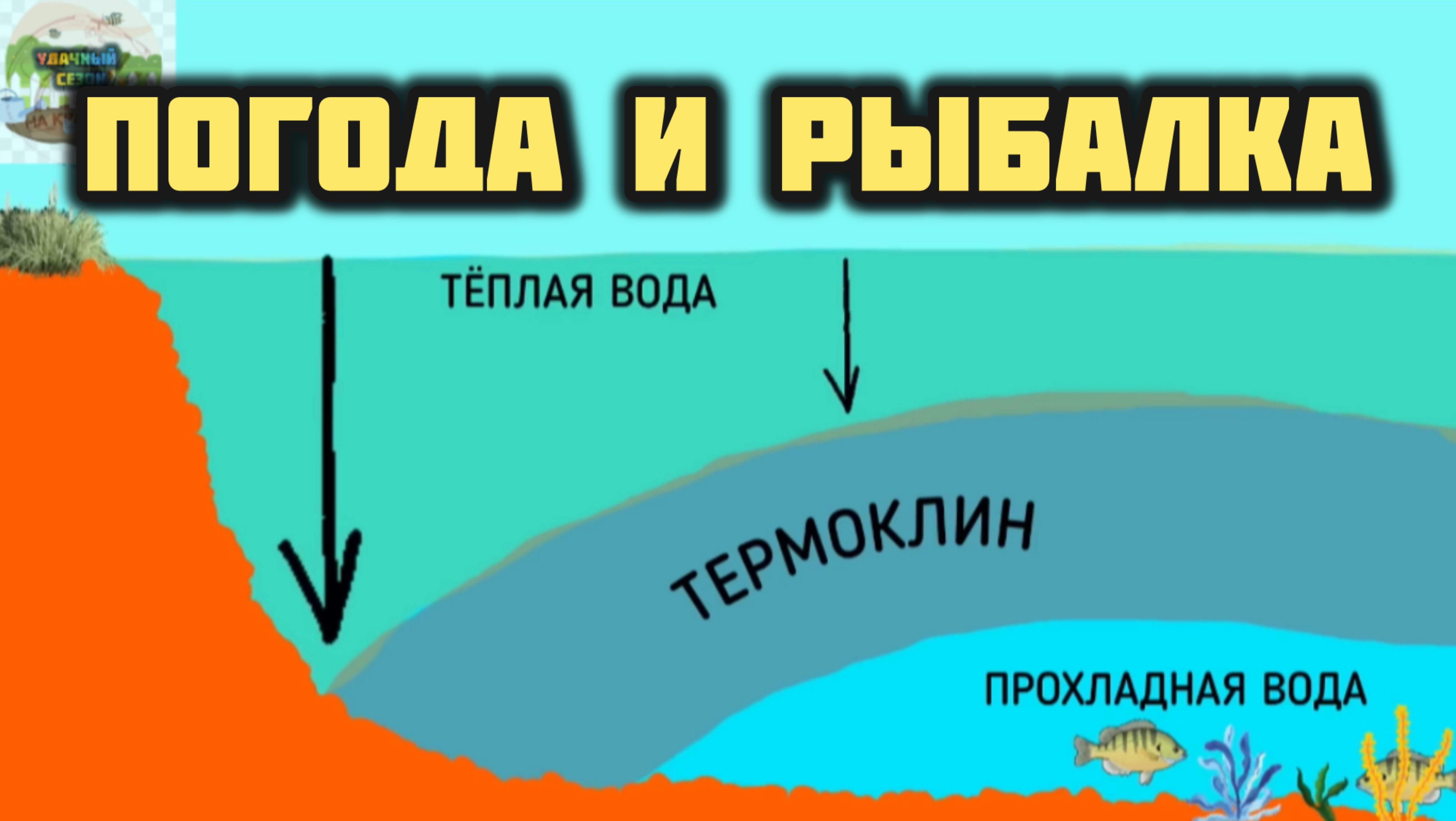 ПОГОДА И РЫБАЛКА! ДАВЛЕНИЕ, ВЕТЕР, ТЕМПЕРАТУРА !