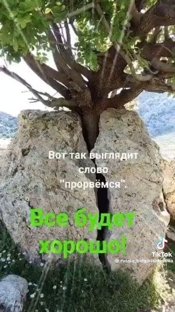 1000521223.mp4смешное видео про березовыи́ сок