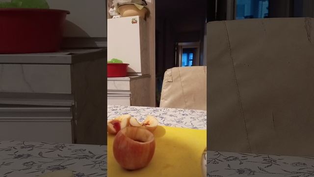 Сладости .mp4