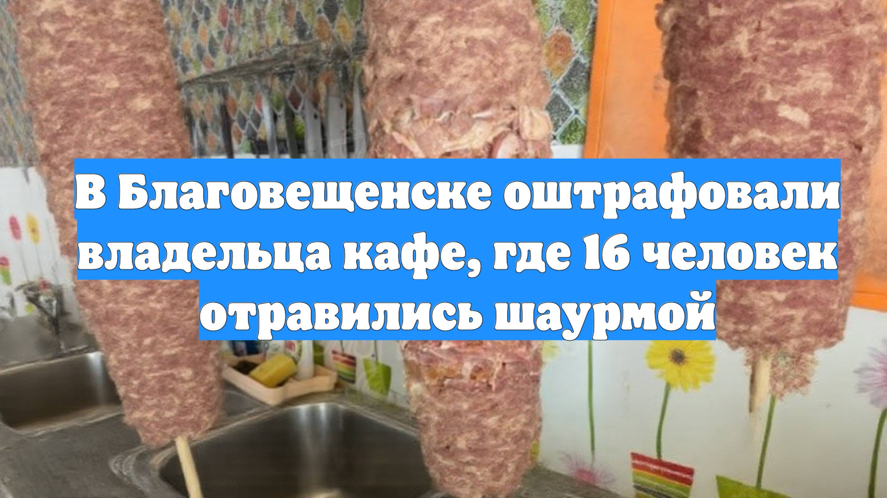 В Благовещенске оштрафовали владельца кафе, где 16 человек отравились шаурмой