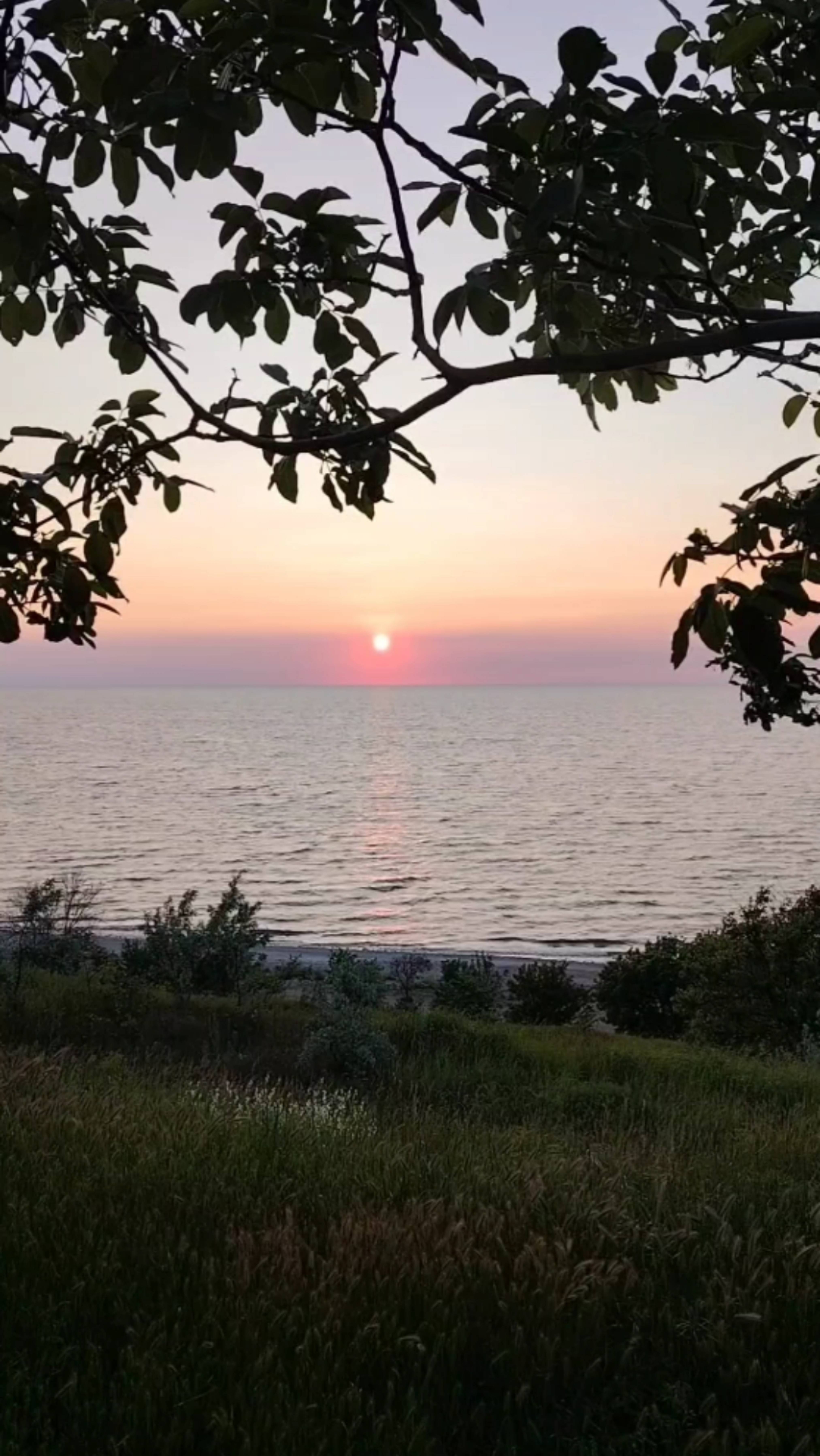 Как упоительны на море вечера...