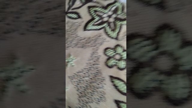 мая коллекция лапок