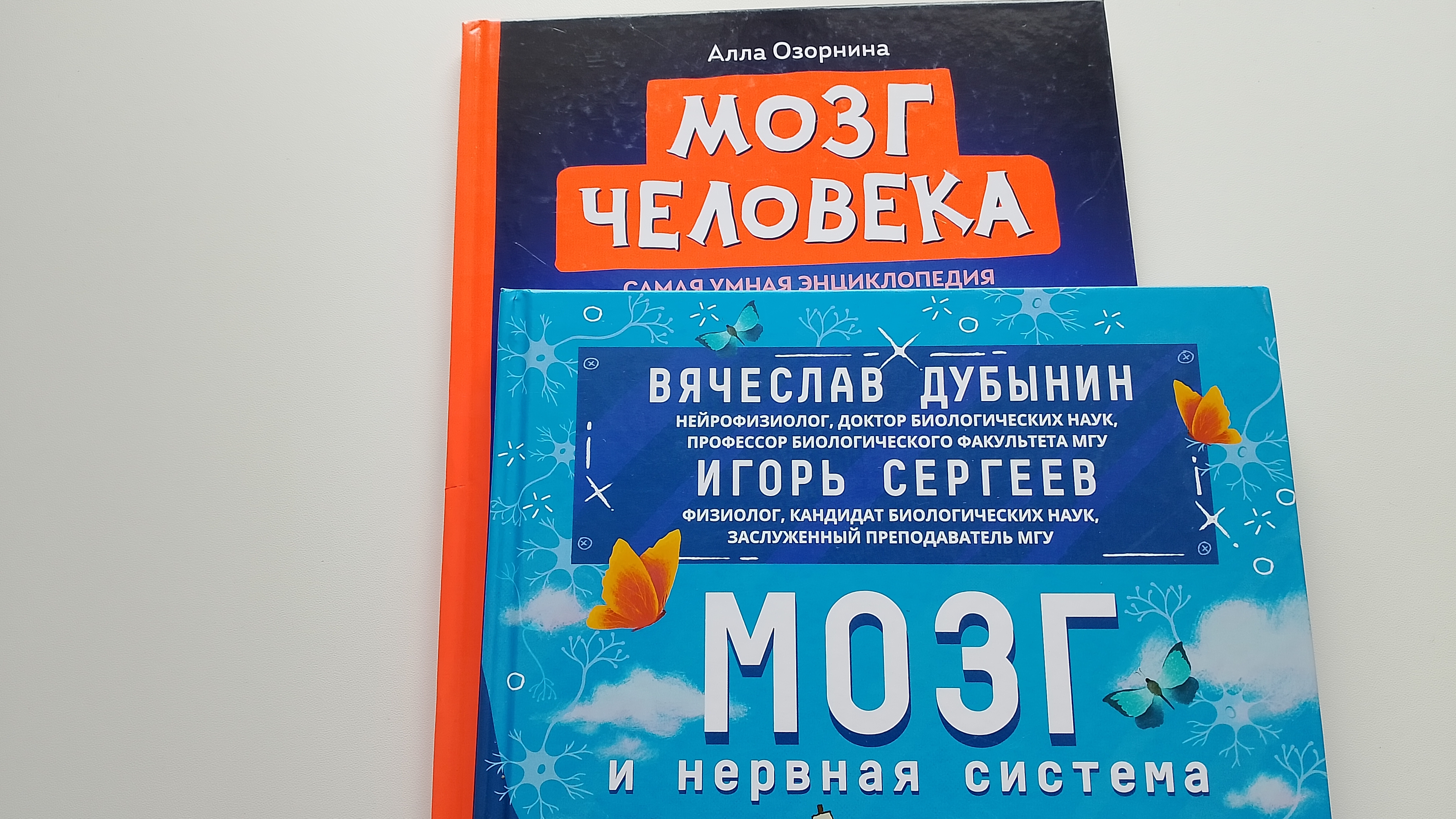 Обзор энциклопедий про мозг человека