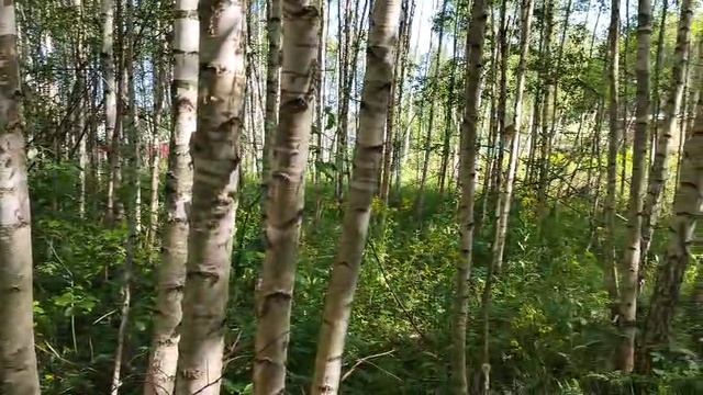 1000166034.mp4
