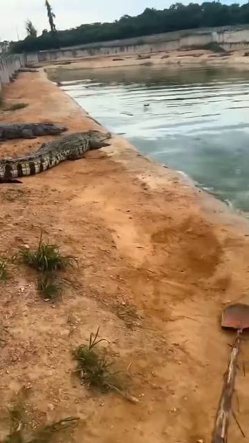 Helping kid