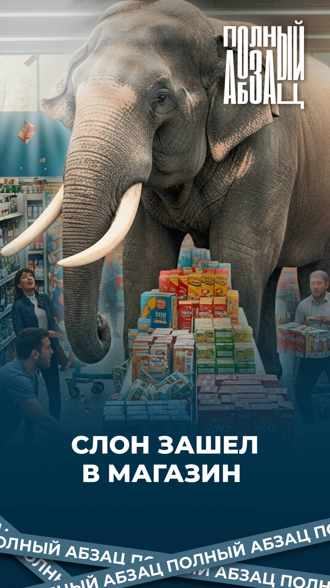 Слон зашел в магазин и съел несколько коробок крекеров