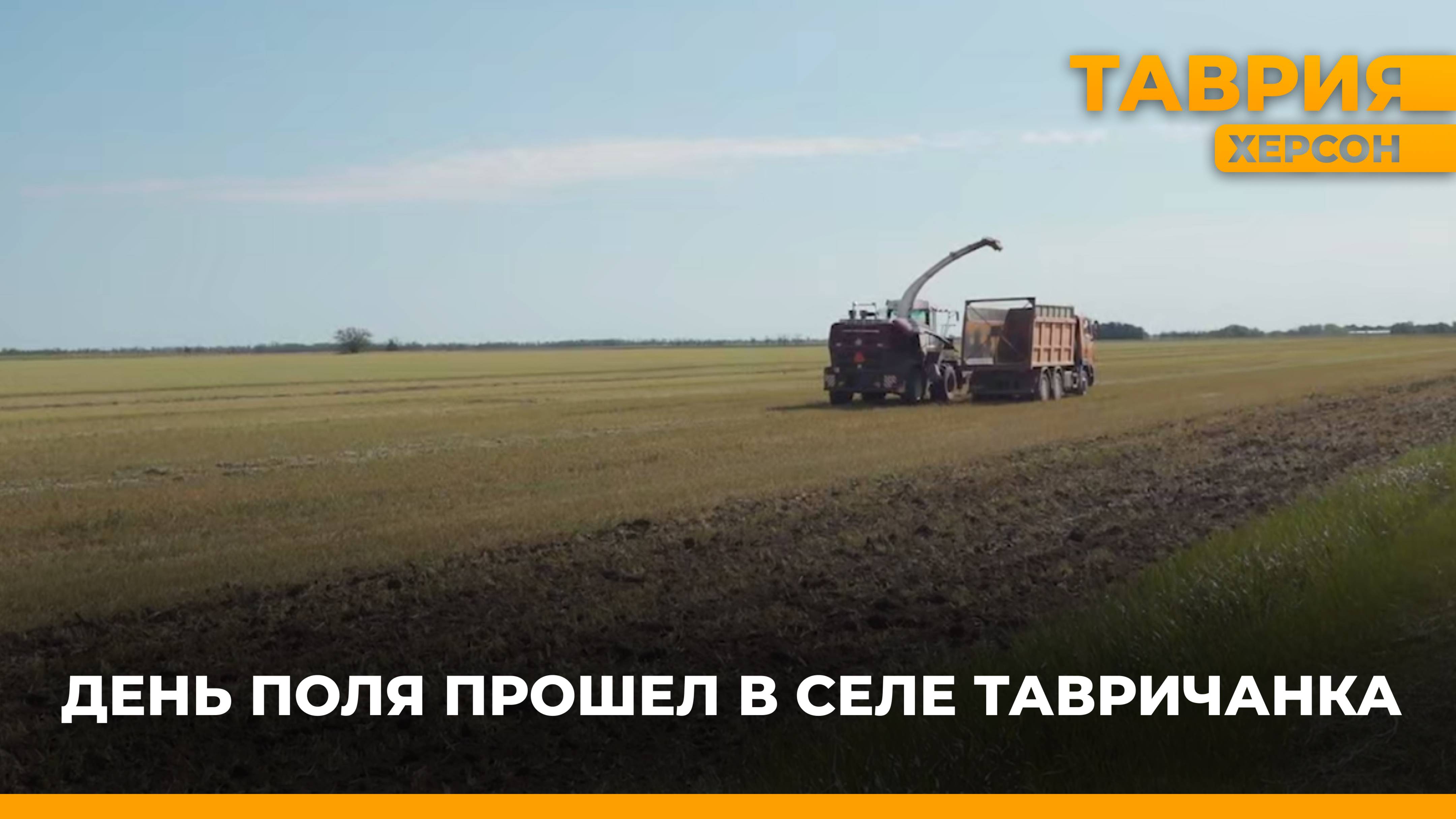 День поля прошел в селе Тавричанка