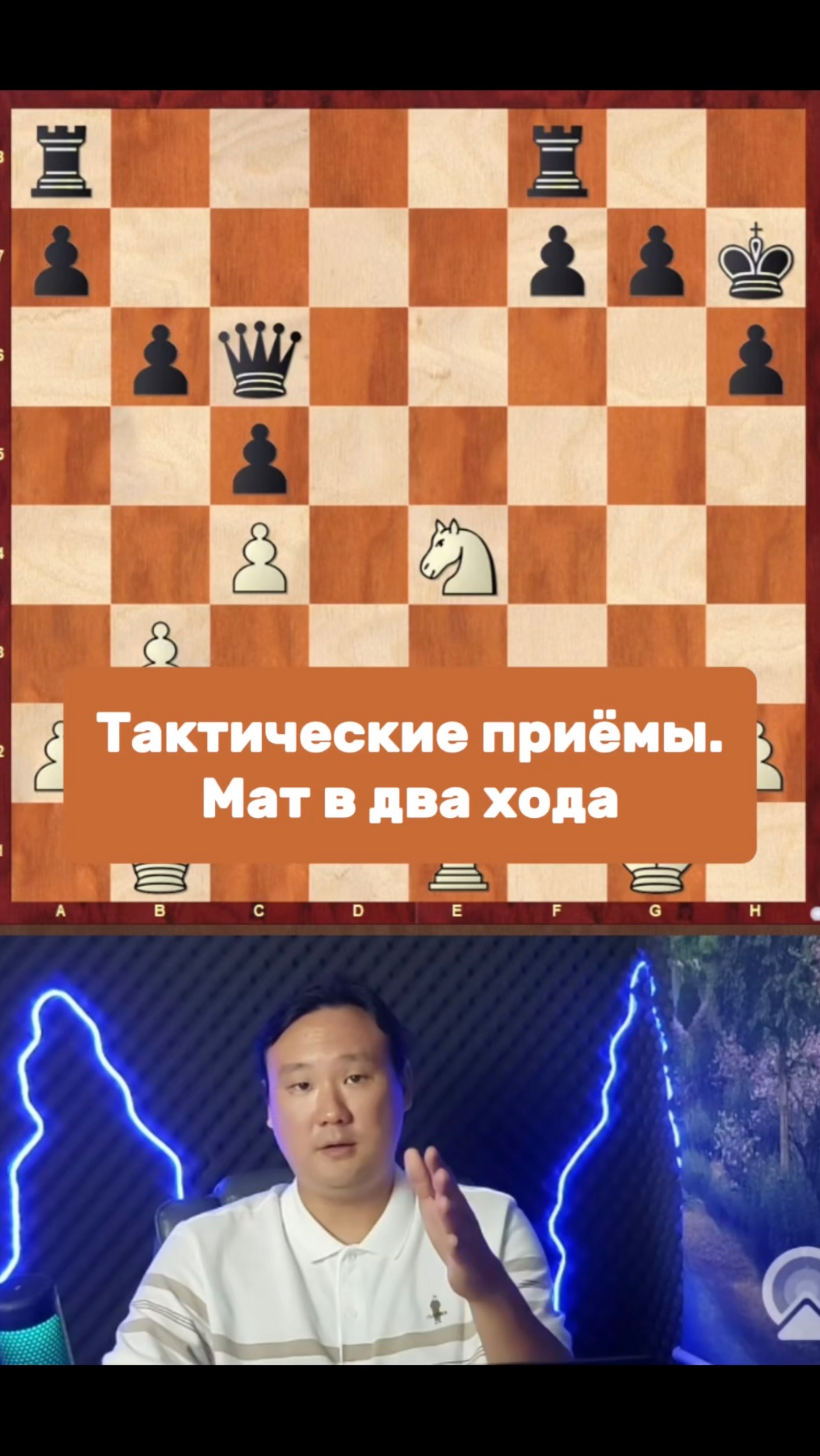 Тактические приёмы. Мат в два хода