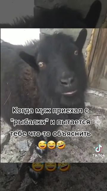 когда муж приехал с рыбалки и пытается тебе что-то объяснить 😜🤣