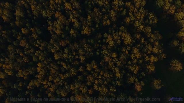 Песня, которая звучит как обещание новых открытий! - Sinking -- Ketsa -- Summer With Sound