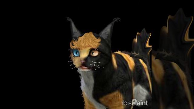 обработка кет сим(кошка на черном фоне)