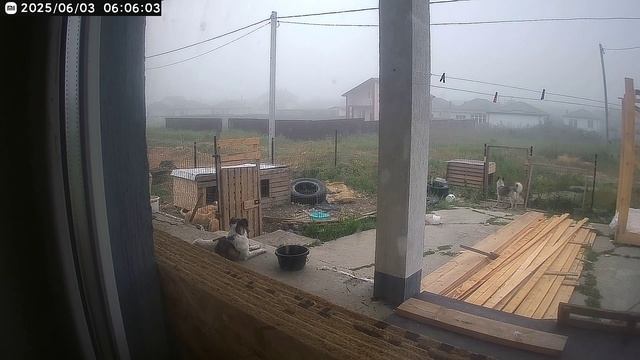 Повторный побег не удался- над калиткой пришили еще доску.Ищем щенкам хозяев
