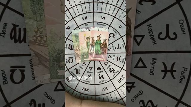 👩🏼🤝👨🏻💐Первое СВИДАНИЕ🙂Как пройдет ⁉️Таро расклад🔮гадание онлайн
