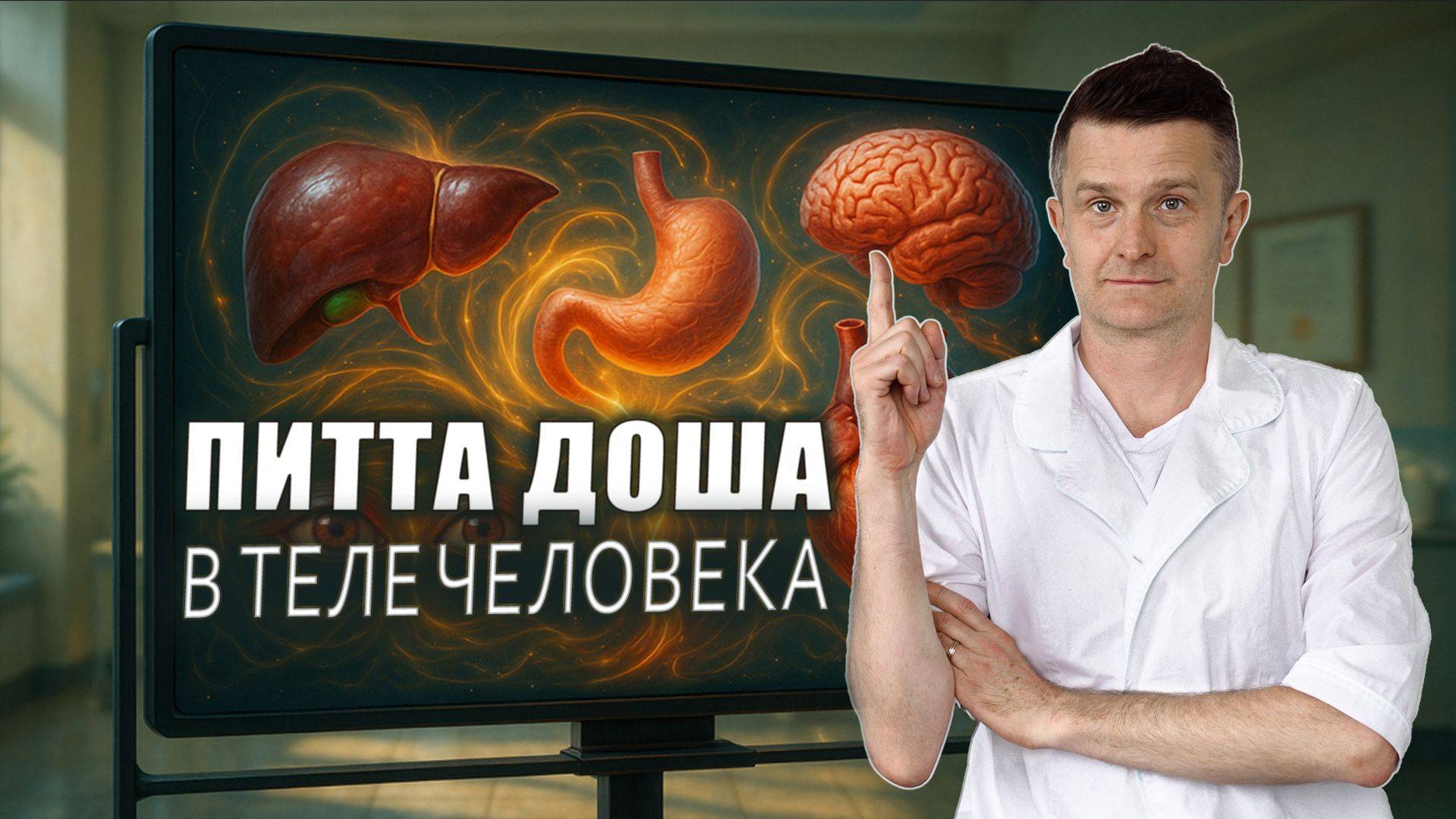Карта питта доши: от печени до мозга | Локализация питты в теле